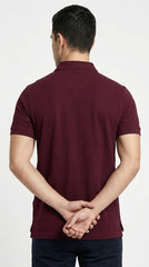 The Varsity Vanguard: Tommy Hilfiger Crest Polo