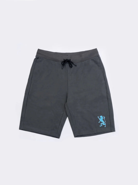 Men's Drak Gray Embroidery Logo Shorts