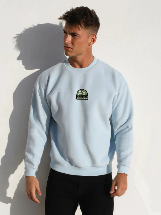 Men light Blue mbroidery Logo Sweatshirt